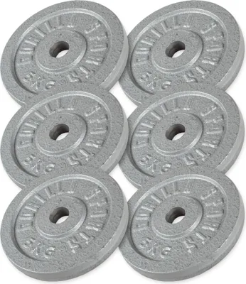 Produktbild von GORILLA SPORTS® Hantelscheiben - 30 kg Set, 6x5 kg Gewichte, 30/31 mm, Gusseisen, Silber - Gewichtsscheiben, Bumper Plates