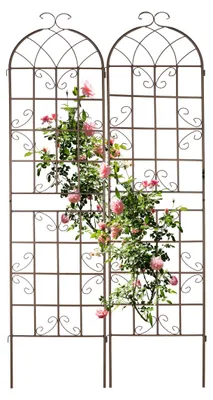 Produktbild von Metall Pflanzenstütze - Set von 2 Braun 220x52 cm