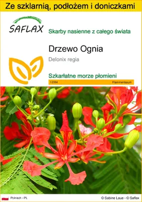 Zdjęcie produktu dla SAFLAX - Zestaw do uprawy - Drzewo Ognia - 6 Nasiona - Z mini szklarnią, podłożem uprawowym i 2 doniczkami - Delonix regia