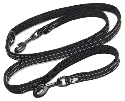 Obrázek produktu pro Vodítko pro psy, nastavitelné, reflexní, černé, L (2,5 cm x 200 cm)