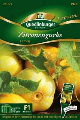 Produktbild von Gurken Zitronen-Lemon Quedlinburger Gemüsesamen