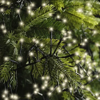 Produktbild von Kaemingk Lumineo Cluster Lichterkette 144 LED warmweiß außen 1,3 m schwarz