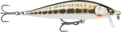Image de Rapala CDE75, 10 g, 7,5 cm, 1,2 m