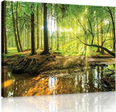 Produktbild von Leinwand Bilder Wald Natur 100x70 cm XXL Landschaft Schlafzimmer Wohnzimmer Canvas Bilder Wandbilder Kunstdruck Wand Bild auf Leinwand Aufhängefertig
