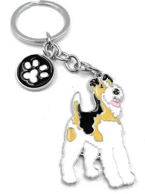 Produktbild von Onwomania - Terrier Hund Pudel niedlich - Metall Schlüsselanhänger, ideal als Geschenk z.B. für den besten Freund, die beste Freundin, Mama - Für Männer, Frauen & Kinder