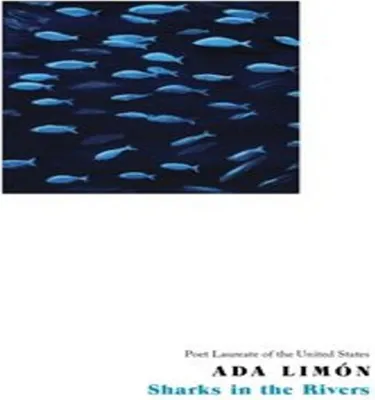 Produktbild von Sharks in the Rivers