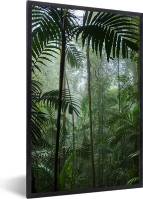 Produktbild von MuchoWow® Gerahmtes Poster Regenwald - Tropisch - Dschungel - Bäume - Pflanzen 60x90 cm - Poster mit Schwarzem Bilderrahmen Wandposter Rahmen Foto Bilder - Kunst