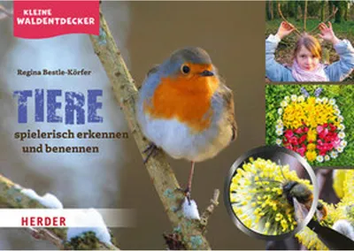 Produktbild von Kleine Waldentdecker: Tiere