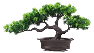 Image de Arbre de Noël artificiel en forme de bonsaï, de couleur verte, de 30 cm, pour la décoration intérieure