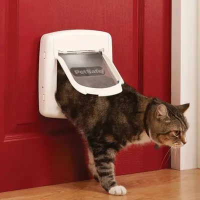 Produktbild von PetSafe Halsbandmagnet 480 Schwarz