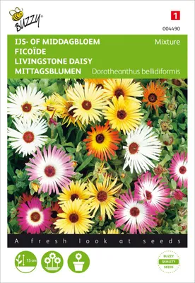Produktbild von Mittagsblume Mischung | Blumensamen von Buzzy Seeds