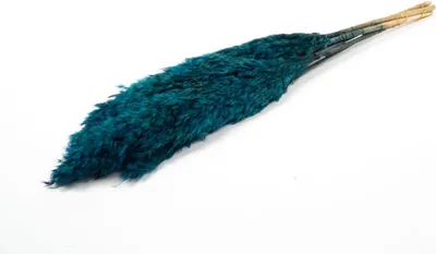 Produktbild von INNA-Glas Schilf getrocknet DONJETA, Petrol, 70-80cm, Ø15cm - Getrockneter Bund