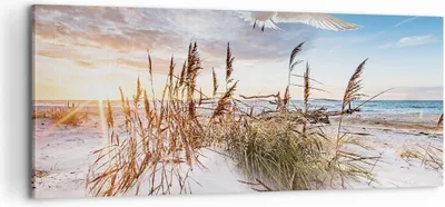 Produktbild von Bild auf Leinwand - Leinwandbild - Einteilig - Möwe Meer Küste - 100x40cm - Wand Bild - Wanddeko - Wandbilder - Leinwanddruck - Bilder - Wanddekoration - Leinwand bilder - Wandbild - AB100x40-4902