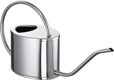 Productafbeelding van Famanu gieter, 1 liter - roestvrij staal, elegant en functioneel