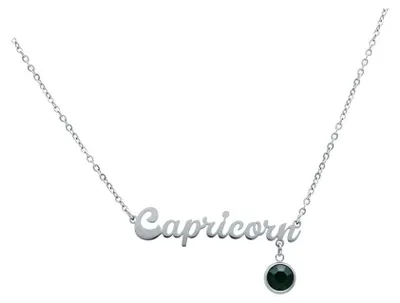 Produktbild von Wildcat Halskette - Capricorn Kette - Chirurgenstahl 316L - wasserfest, langlebig, hautverträglich, Silber