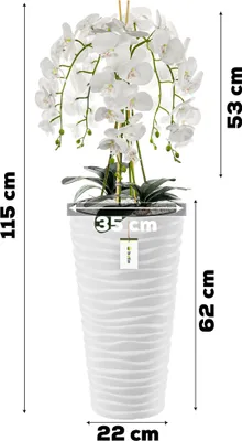 palme knstlich drauen Knstliche Palme 180 cm XL  arnusa