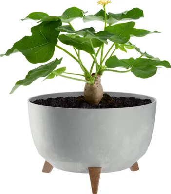 Immagine prodotto di KADAX vaso da fiori 33cm coperchio + inserto gambe sughero portafiori grigio