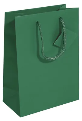 Immagine prodotto di SIGEL GT501 Sacchetto regalo medio - verde opale - opaco - con inserto sul fondo ed etichetta regalo - carta - 17 x 23 cm