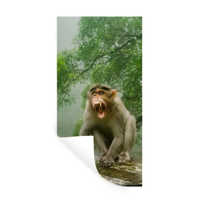 Produktbild von MuchoWow® Wandtattoo Wandsticker Wandaufkleber Schreiender Affe vor Wasserfall 80x160 cm Selbstklebend und Repositionierbar - Sticker - Dekorfolie