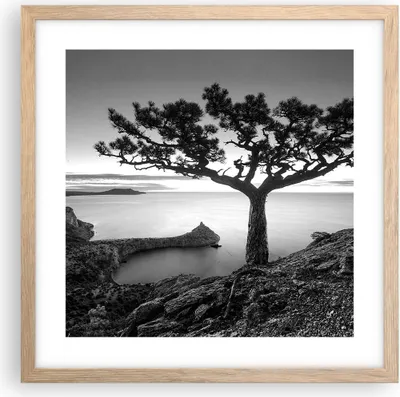Produktbild von Gerahmtes Poster - Rahmen in heller Eiche - Baum Schwarzweiß Ansicht - 40x40 cm - Wand Bild - Wanddeko - Wandbilder - Wandposter - Bilderrahmen - Bilder - Kunstdruck - Wandbild - P2NAC40x40-4297