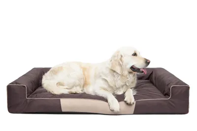 Obrázok produktu pre Pelech pre psa Kôš pre psa Pohovka pre psa Matrac pre psa Vankúš pre psa Odpočinok pre psa Búda pre psa Spací kút pre psa ,,VICTORIA'' 118X78 cm