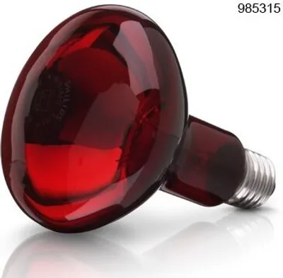 Produktbild von Beurer Ersatzstrahler 100 Watt von Philips für Infrarotlampe