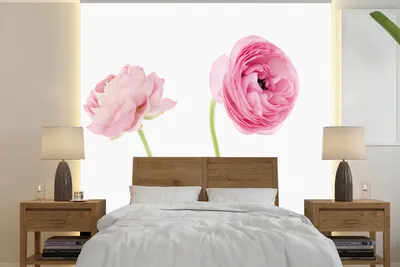 Produktbild von MuchoWow® Fototapete für Wohnzimmer oder Schlafzimmer Wandtapete Vinyl Motivtapete Rosa Butterblumen mit weißem Hintergrund - 280x280 cm - Hintergrundbild