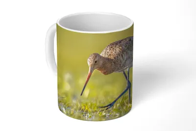 Produktbild von KitchenYeah® Tasse Kaffeetasse Kaffeebecher 350 ml Vögel - Gras - Landschaft - Uferschnepfe Teetasse - Fototasse - Becher - Keramikbecher - Teebecher - Kaffeetasse - Bürotasse