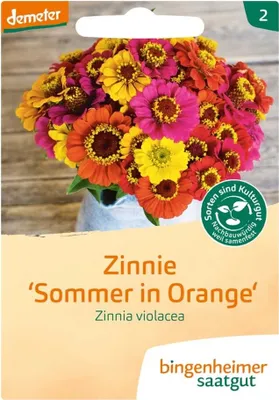 Immagine prodotto di Zinnia - Estate in arancione