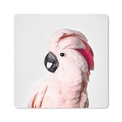 Produktbild von MuchoWow® Mauspad Mousepad Kakadu - Rosa - Tiere - Natur 20x20 cm - Mousepads - Maus Mat - Pad - Mausunterlage - Desk Mat - Bureauartikeln