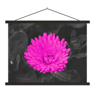 Produktbild von MuchoWow® Textilposter Blumen - Aquarell - Rosa 120x90 cm mit schwarzem Rahmen - Aufhänger für Poster