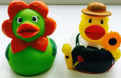 Produktbild von 2 Gärtner Quietscheenten – 13,98 € - Blume und Gärtner Enten – 2erSet - bestehend aus 2 Quietsche-Enten - Badeenten - ca. 8 cm gross