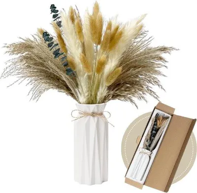 Productafbeelding van Famanu Pampasgras Droogbloemen Set - 44 stuks, inclusief vaas