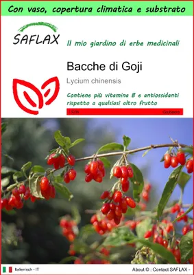 Immagine prodotto di SAFLAX Garden to go - Bacche di Goji - 200 semi - Lycium