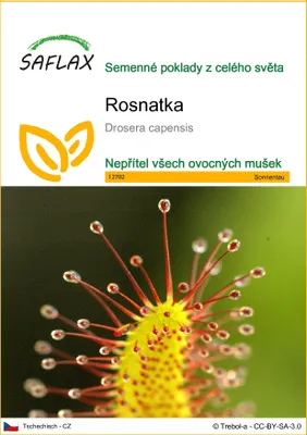 Obrázek produktu pro SAFLAX - rosnatka - Drosera capensis - 200 Semena