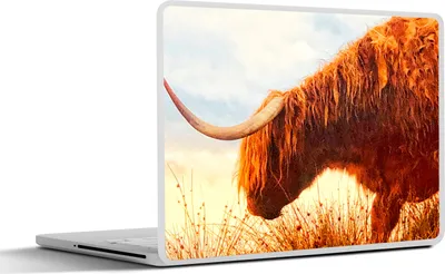 Produktbild von MuchoWow® Laptop Aufkleber Sticker Cover Schottische Hochlandrind - Licht - Natur 25x18 cm - Laptop-Deko