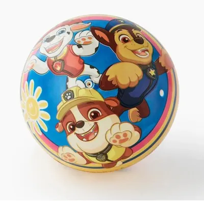 Image de Ballon en plastique pat patrouille 23 cm - balle pvc paw patrol - john - jeu plein air, sport