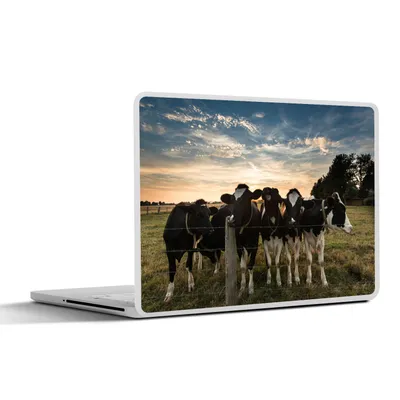 Produktbild von MuchoWow® Laptop Aufkleber Sticker Cover Tiere - Kuh 25x18 cm - Laptop-Deko