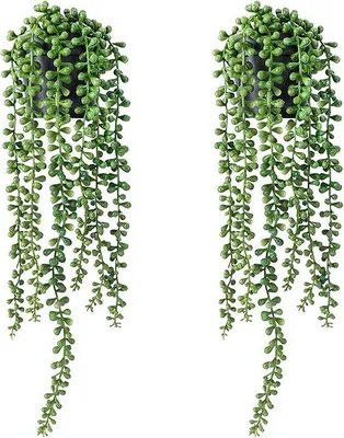 Immagine prodotto di Set di fiori finti composto da 2 piante artificiali con vaso, piante grasse artificiali con filo di perline ed edera artificiale, ideale per la casa, l'ufficio, da appendere alla parete, da tavolo o da scaffale.