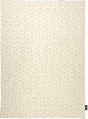Produktbild von Alvi ALVI Babydecke Jersey  Starfant 75x100