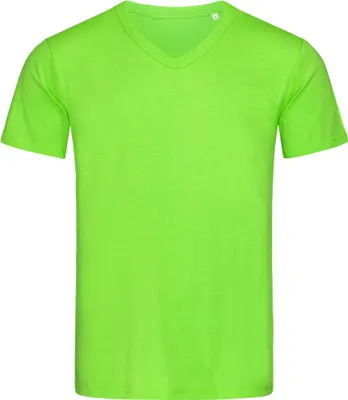 Produktbild von Stedman ST9010 | V-Neck Herren T-Shirt Ben - Farbe: Green Flash - Größe: XXL