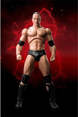 Produktbild von WWE Superstar Series - The Rock S.H. Figuarts