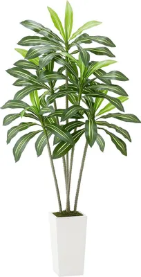 Produktbild von 1829 mm künstlicher Dracaena-Baum, Kunstpflanze mit weißem Pflanzgefäß für den Innenbereich