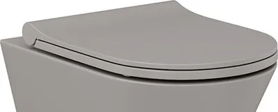 Produktbild von Wc Sitz Soft Close Slim Elegance Latte Duroplast Abnehmbar & leicht zu reinigen