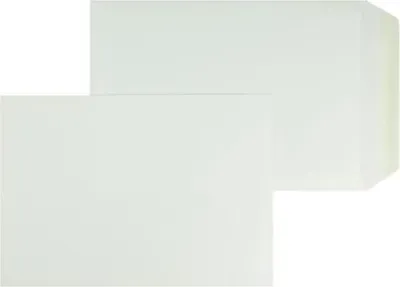 Produktbild von Versandtaschen 220x312mm 120g/qm gummiert VE=100 Stück biotop