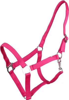 Produktbild von ARBO-INOX® Halfter mit Schiebeschnalle Stallhalfter Basic QHP Größe - Pony Farbe - fuchsia