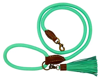 Produktbild von Hundeleine – Leine für Hunde – Türkis – Polyester - Leder - Tau – L – 155 x 1.4 cm – Jade