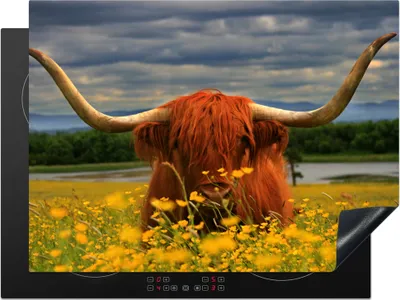 Produktbild von KitchenYeah© Herdabdeckplatte Schottischer Highlander - Tiere - Blumen , 71x52cm, Küche Deko, Glaskeramikkochfeld Herdabdeckung, Abdeckplatte fùr Kochfeld