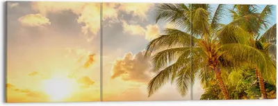 Produktbild von Bild auf Leinwand - Leinwandbild - Strand Meer Palme - 150x50cm - Wand Bild - Wanddeko - Wandbilder - Leinwanddruck - Bilder - Kunstdruck - Wanddekoration - Leinwand bilder - Wandkunst - CA150x50-3606