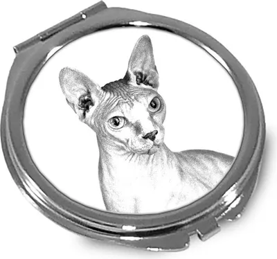 Productafbeelding van Sfinx spiegel met de foto van een kat Art-Dog